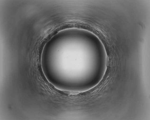 X0000112530965200908171417