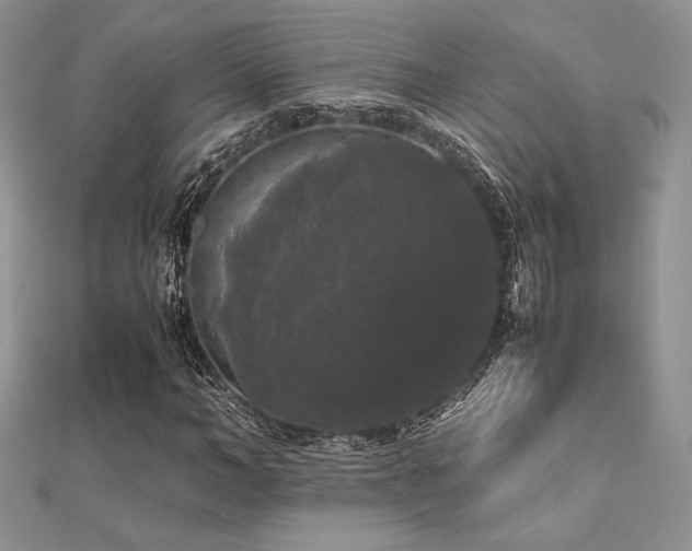 X0000112530966200908171417