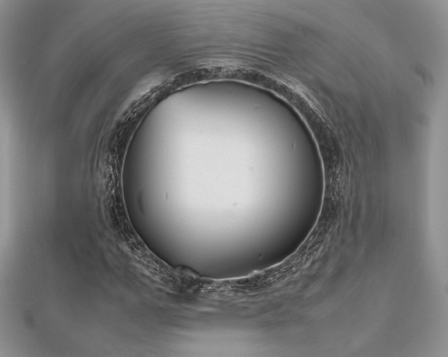 X0000112530967200908171417