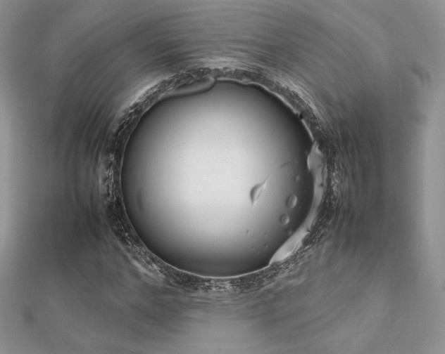 X0000112530968200908171417