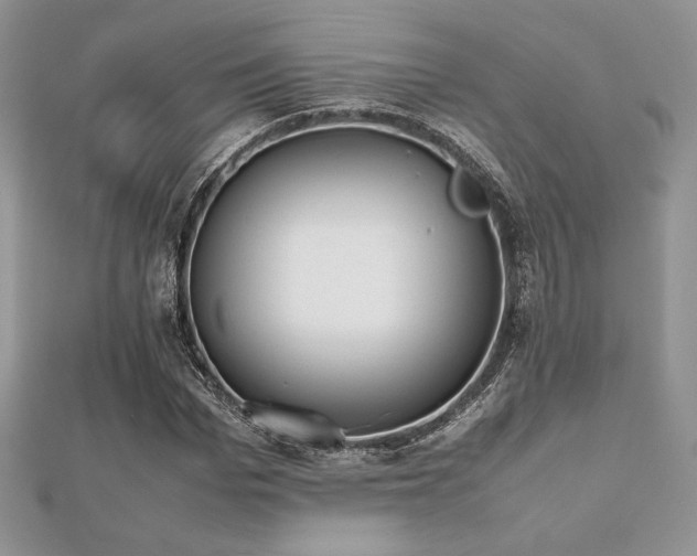 X0000112530969200908171417