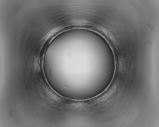 X0000112530970200908171417