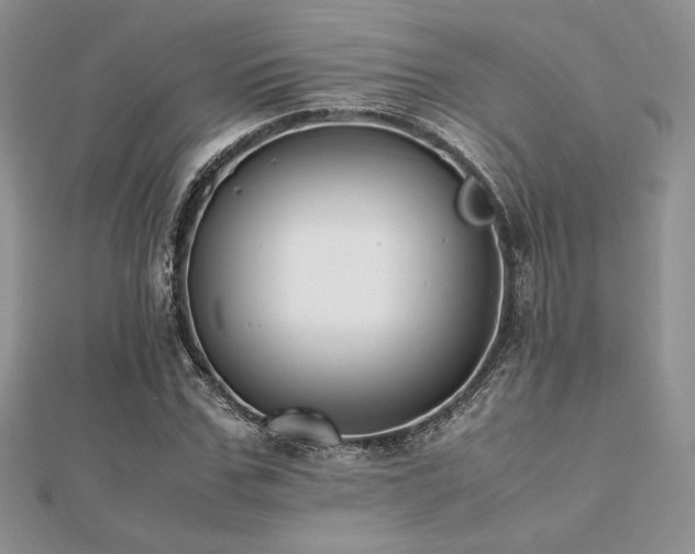 X0000112530971200908171417