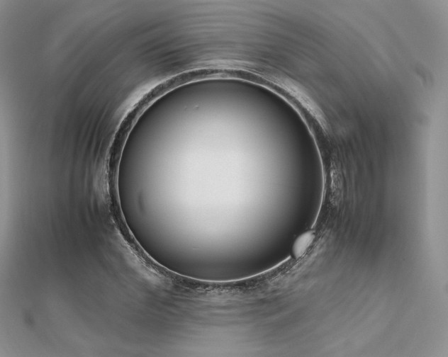 X0000112530972200908171417