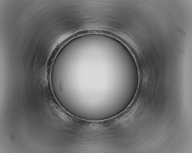 X0000112530974200908171417