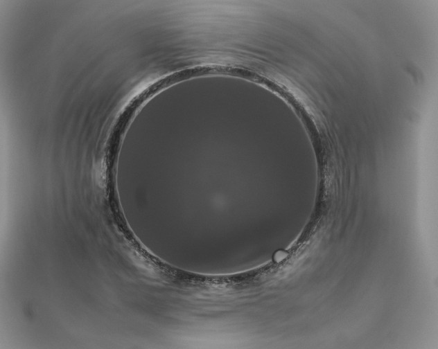 X0000112530975200908171417