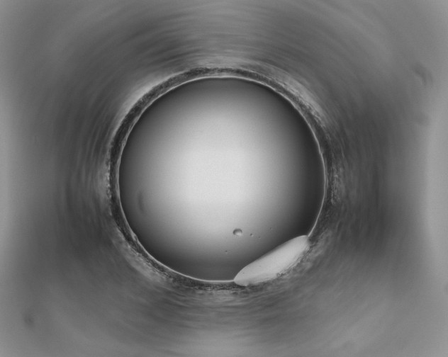 X0000112530976200908171417