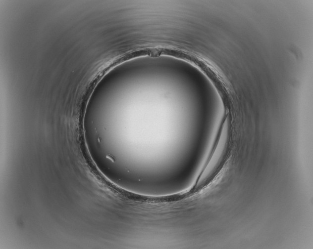 X0000112530977200908171417