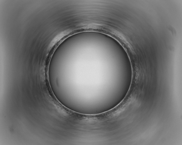 X0000112530978200908171417