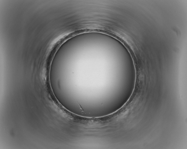 X0000112530979200908171417