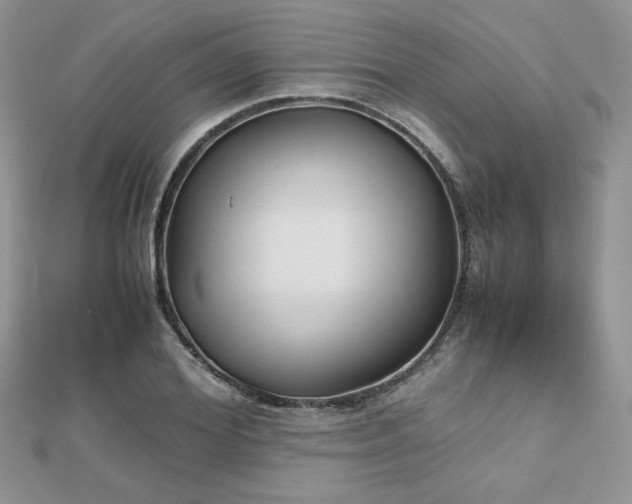 X0000112530980200908171417