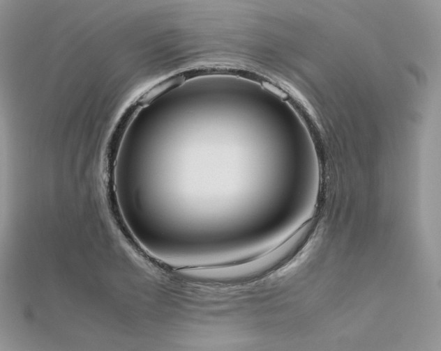 X0000112530981200908171417
