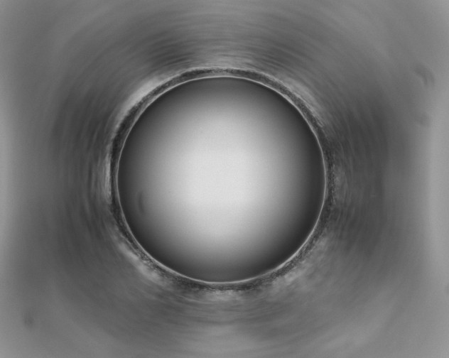 X0000112530982200908171417