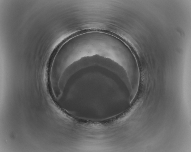 X0000112530983200908171417