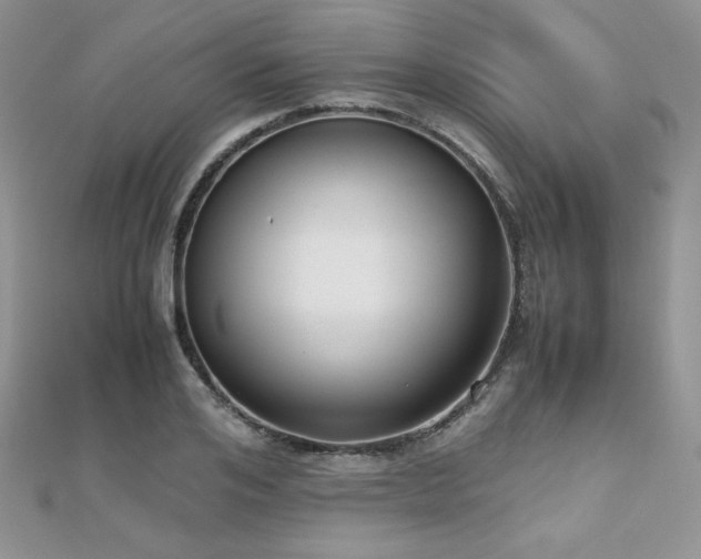 X0000112530984200908171417