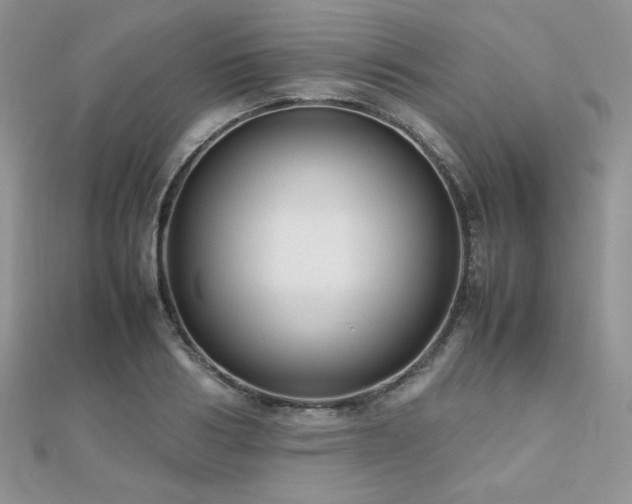 X0000112530986200908171417