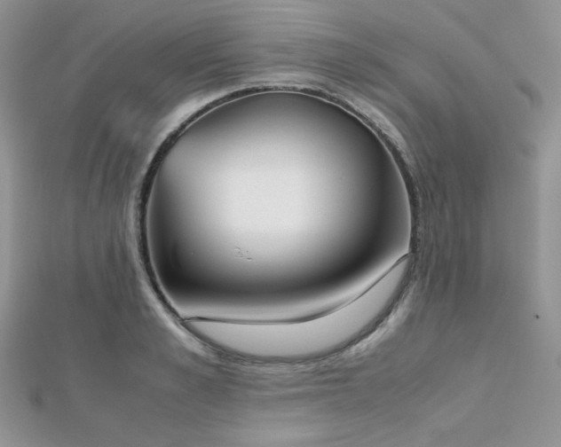 X0000112530989200908171417