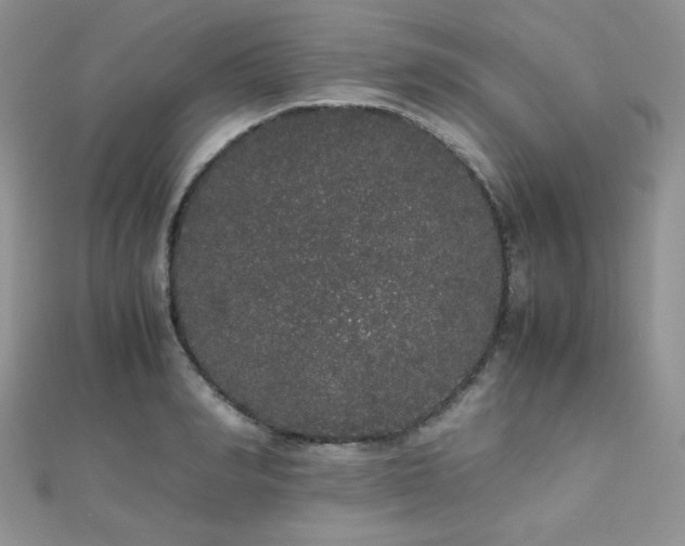X0000112530990200908171417