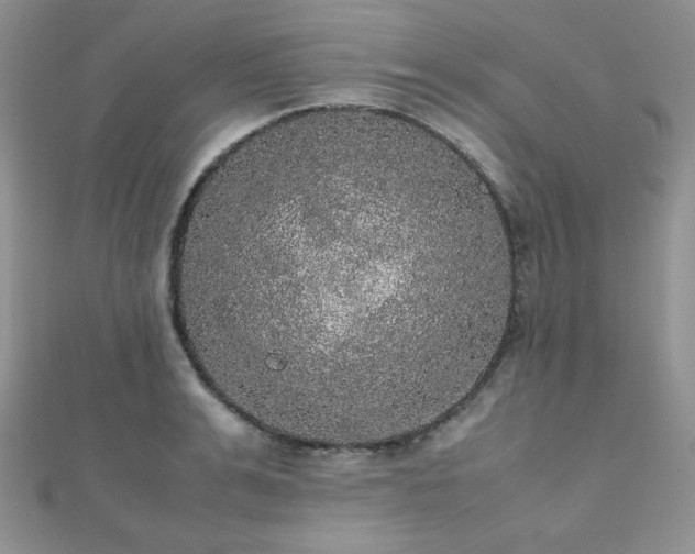 X0000112530991200908171417