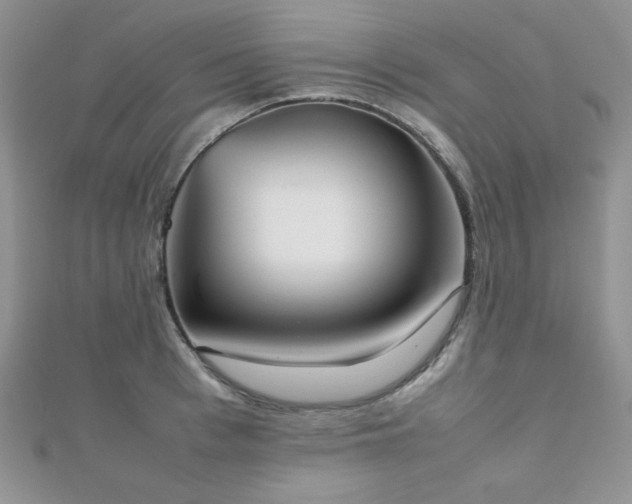 X0000112530993200908171417