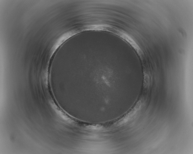 X0000112530994200908171417