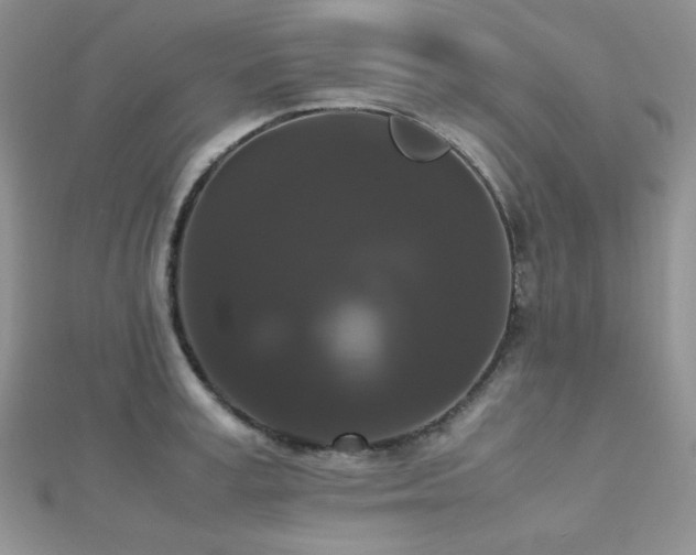 X0000112530995200908171417