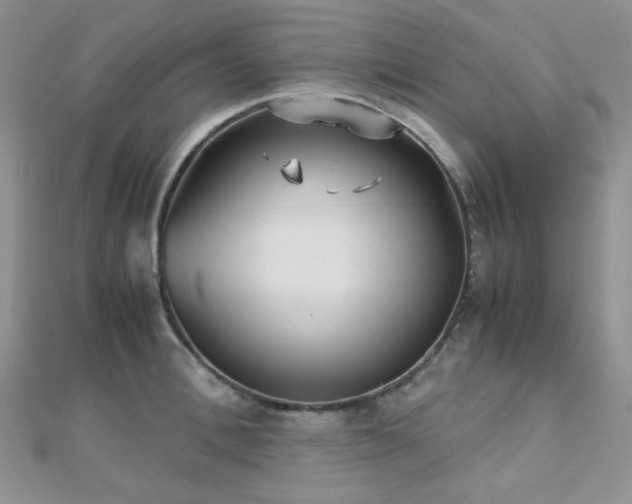 X0000112530996200908171417