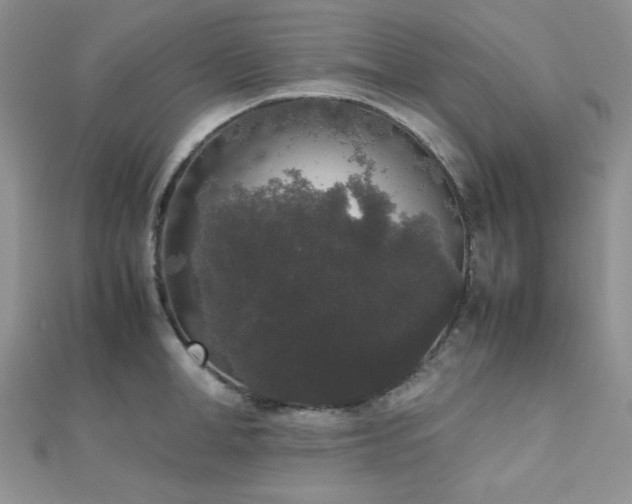 X0000112530998200908171417
