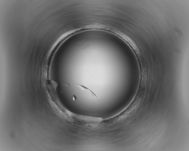 X0000112531000200908171417