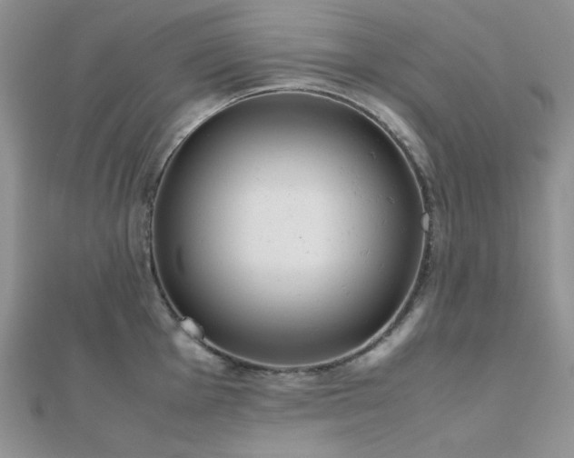 X0000112531001200908171417