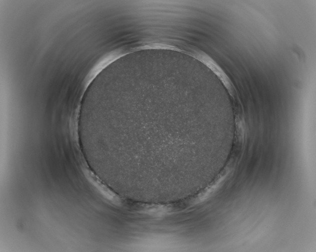 X0000112531002200908171417