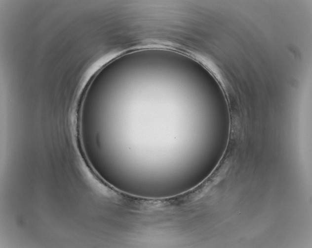 X0000112531003200908171417