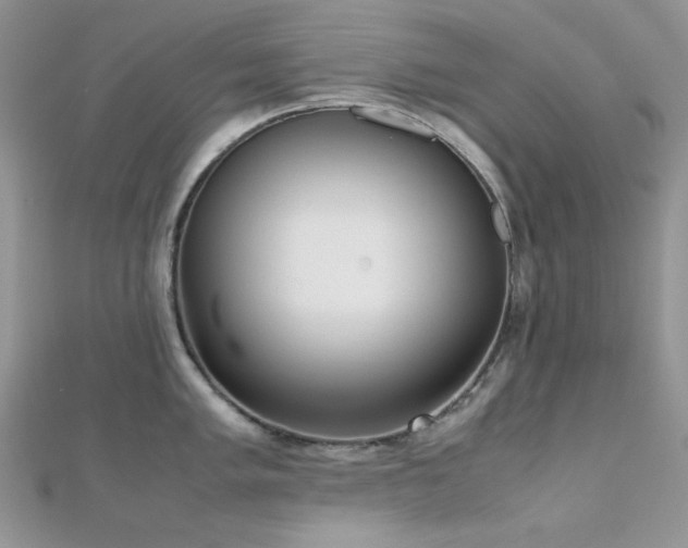 X0000112531005200908171417