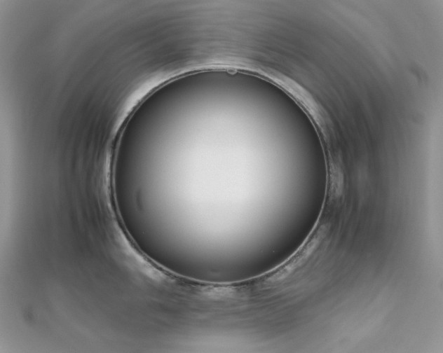 X0000112531006200908171417