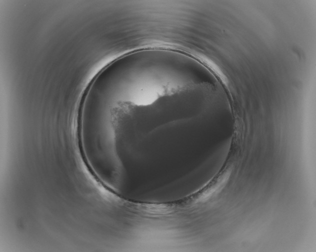 X0000112531007200908171417
