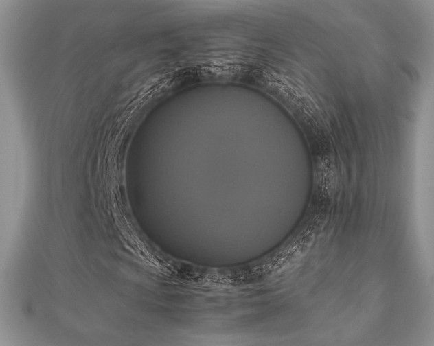 X0000112531009200908171416