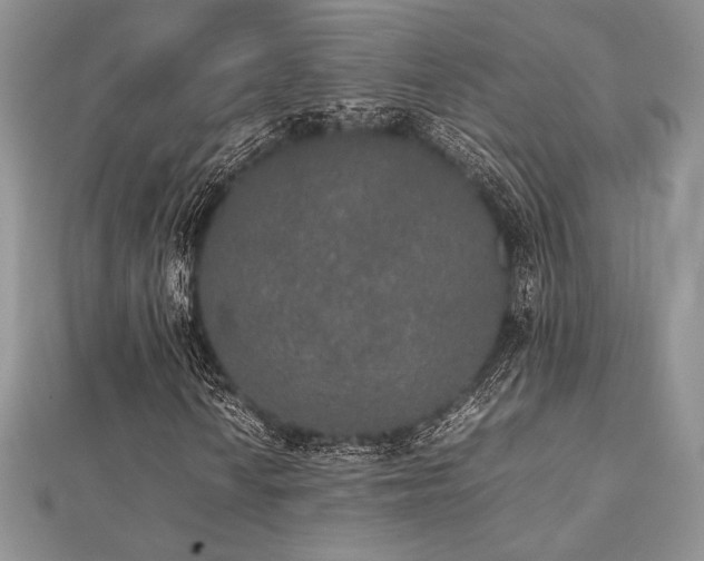 X0000112531010200908171416