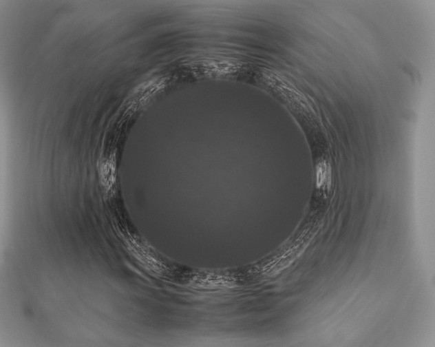 X0000112531011200908171416