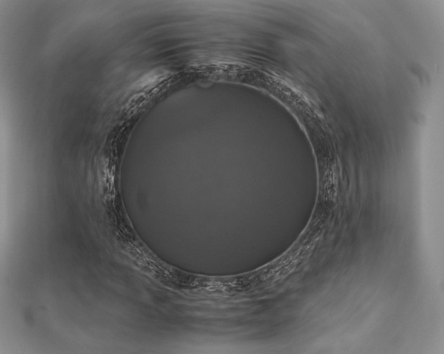 X0000112531013200908171416