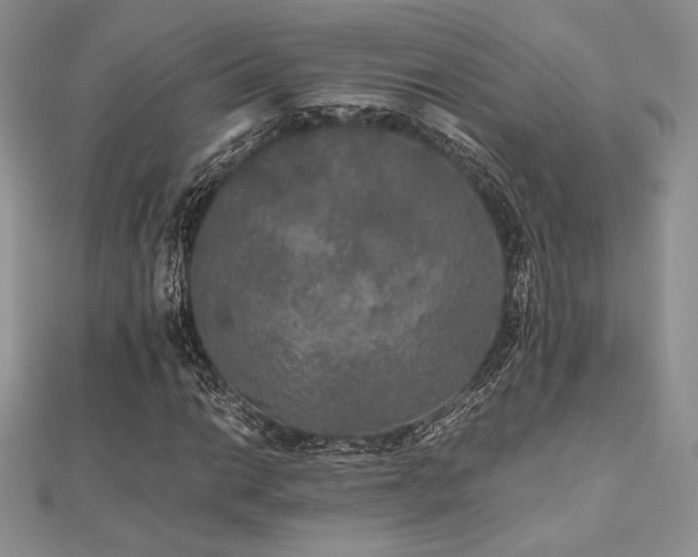 X0000112531014200908171416
