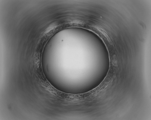 X0000112531015200908171416
