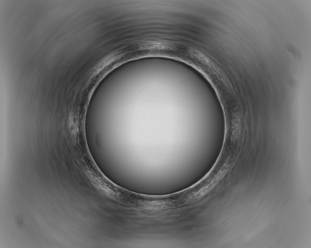 X0000112531017200908171416