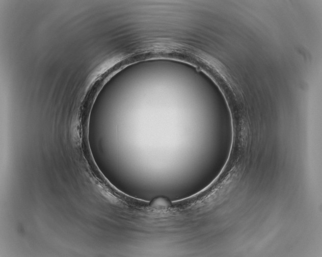 X0000112531018200908171416