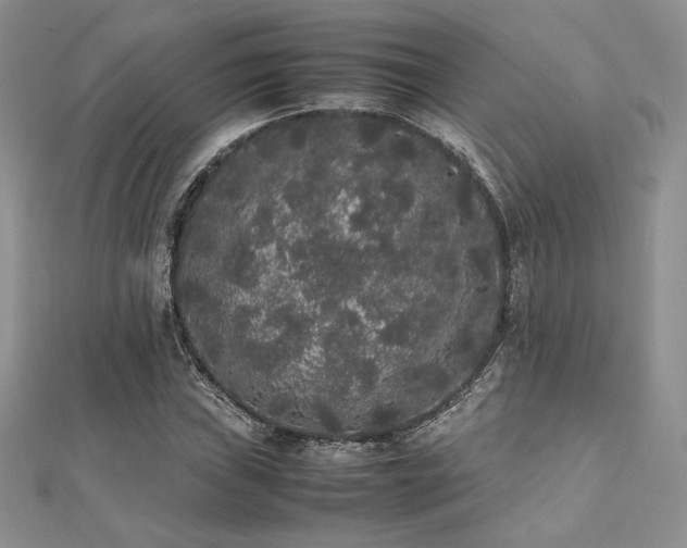 X0000112531019200908171416