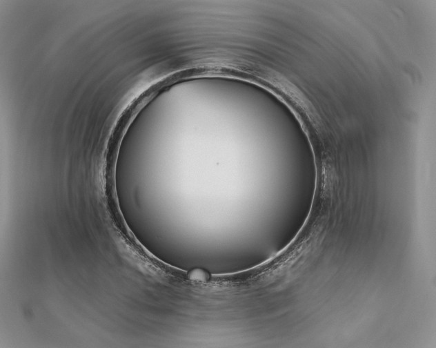 X0000112531020200908171416