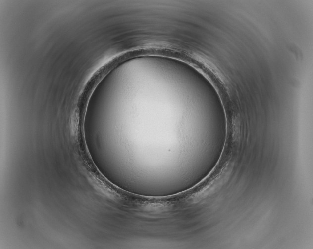 X0000112531021200908171416