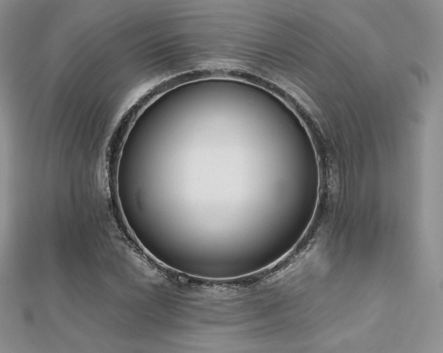 X0000112531022200908171416