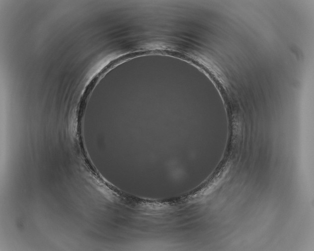 X0000112531023200908171416