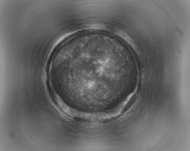 X0000112531024200908171416