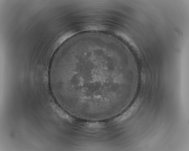 X0000112531025200908171416